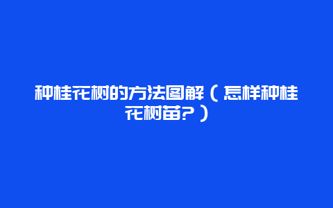 种桂花树的方法图解（怎样种桂花树苗?）