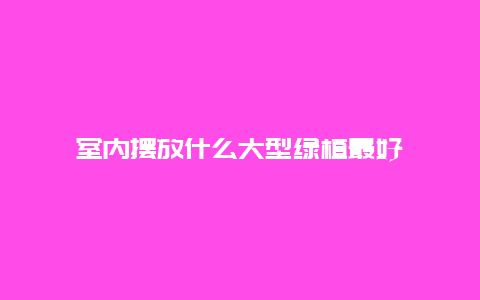 室内摆放什么大型绿植最好