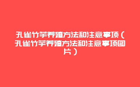 孔雀竹芋养殖方法和注意事项（孔雀竹芋养殖方法和注意事项图片）