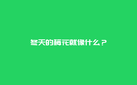 冬天的梅花就像什么？