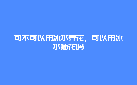 可不可以用冰水养花，可以用冰水插花吗