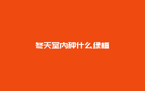 冬天室内种什么绿植