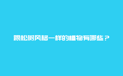 跟松树风格一样的植物有哪些？