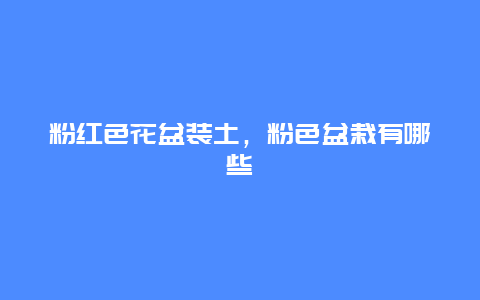 粉红色花盆装土，粉色盆栽有哪些