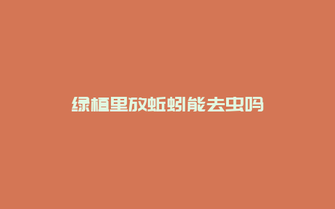 绿植里放蚯蚓能去虫吗