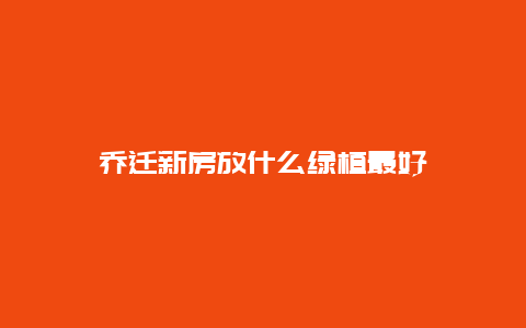 乔迁新房放什么绿植最好