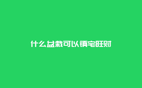 什么盆栽可以镇宅旺财