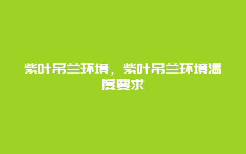 紫叶吊兰环境，紫叶吊兰环境温度要求