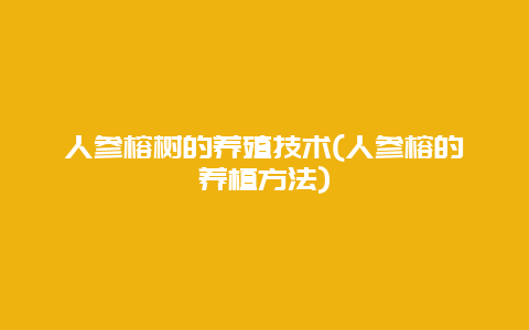 人参榕树的养殖技术(人参榕的养植方法)