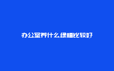 办公室养什么绿植比较好