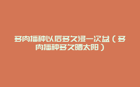 多肉播种以后多久浸一次盆（多肉播种多久晒太阳）