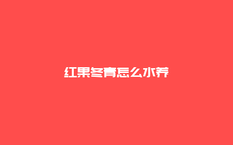 红果冬青怎么水养