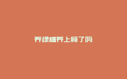 养绿植养上瘾了吗