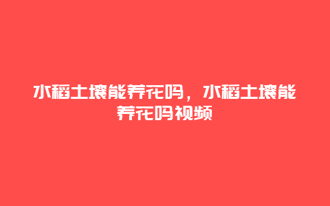 水稻土壤能养花吗，水稻土壤能养花吗视频