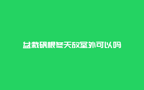 盆栽矾根冬天放室外可以吗