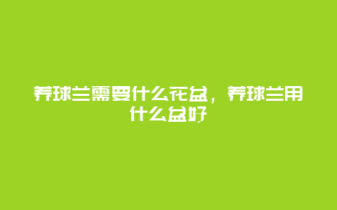 养球兰需要什么花盆，养球兰用什么盆好