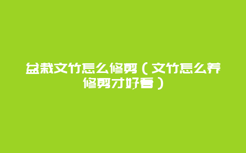 盆栽文竹怎么修剪（文竹怎么养修剪才好看）