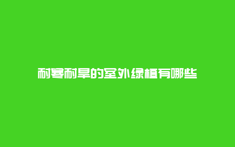 耐寒耐旱的室外绿植有哪些