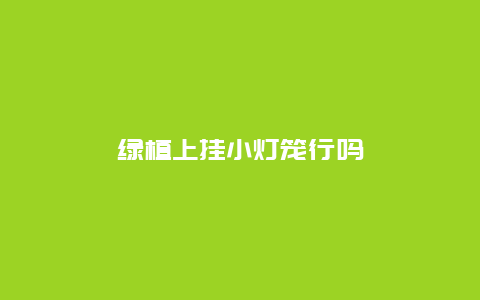 绿植上挂小灯笼行吗