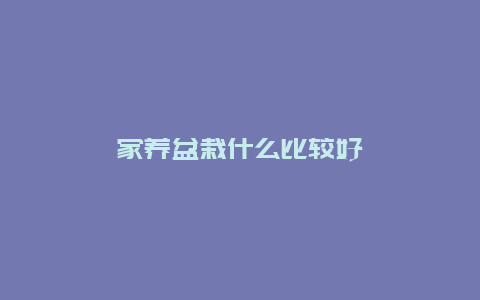 家养盆栽什么比较好