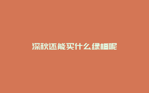 深秋还能买什么绿植呢