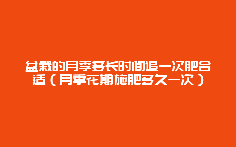 盆栽的月季多长时间追一次肥合适（月季花期施肥多久一次）