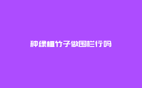 种绿植竹子做围栏行吗