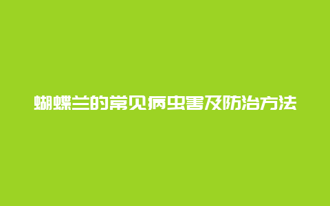 蝴蝶兰的常见病虫害及防治方法