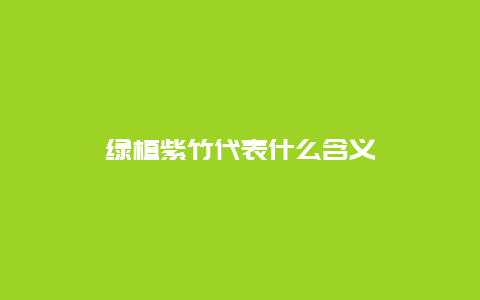 绿植紫竹代表什么含义