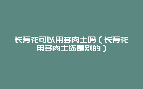 长寿花可以用多肉土吗（长寿花用多肉土还是别的）