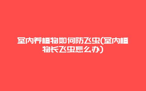 室内养植物如何防飞虫(室内植物长飞虫怎么办)