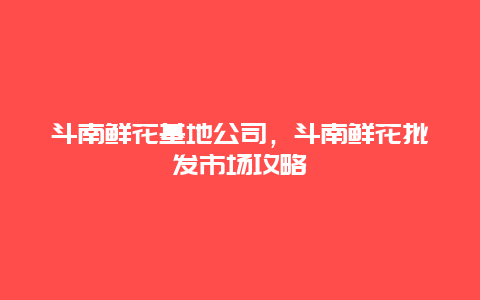 斗南鲜花基地公司，斗南鲜花批发市场攻略