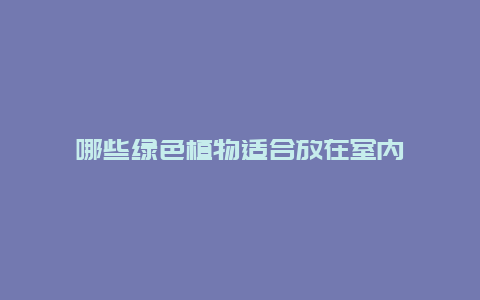 哪些绿色植物适合放在室内