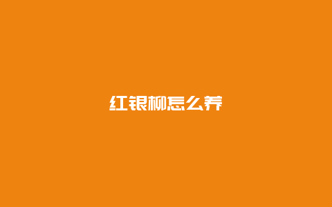 红银柳怎么养