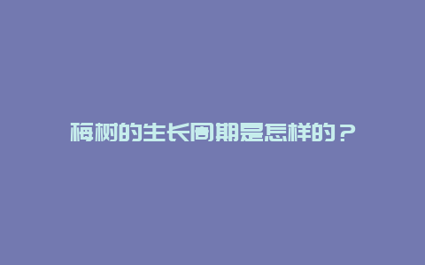 梅树的生长周期是怎样的？