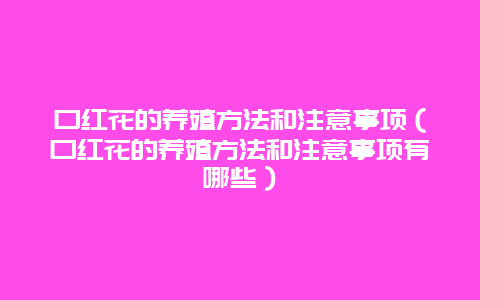 口红花的养殖方法和注意事项（口红花的养殖方法和注意事项有哪些）