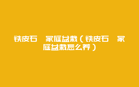 铁皮石斛家庭盆栽（铁皮石斛家庭盆栽怎么养）