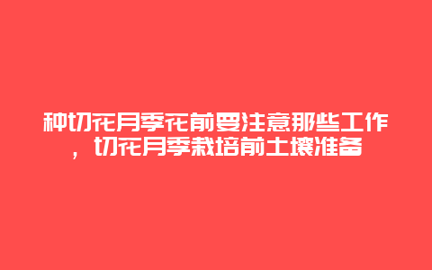 种切花月季花前要注意那些工作，切花月季栽培前土壤准备