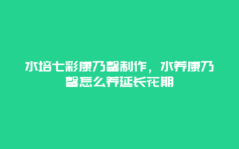 水培七彩康乃馨制作，水养康乃馨怎么养延长花期