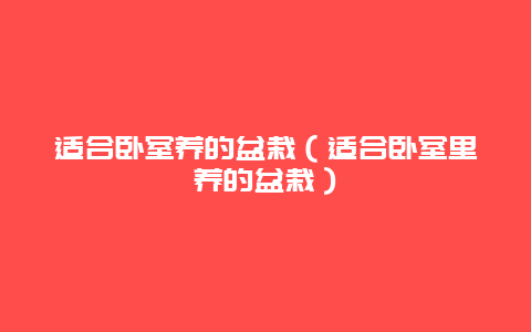 适合卧室养的盆栽（适合卧室里养的盆栽）