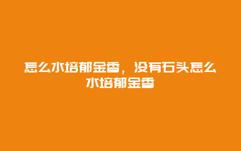 怎么水培郁金香，没有石头怎么水培郁金香