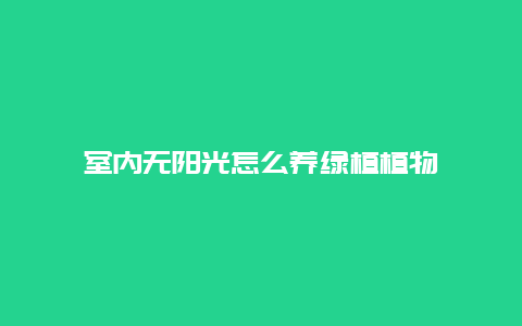 室内无阳光怎么养绿植植物