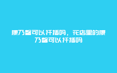 康乃馨可以扦插吗，花店里的康乃馨可以扦插吗