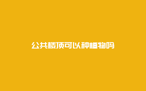 公共楼顶可以种植物吗