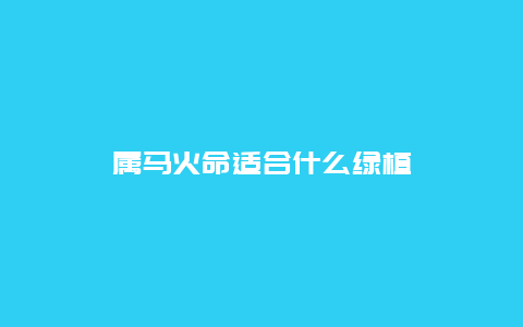 属马火命适合什么绿植