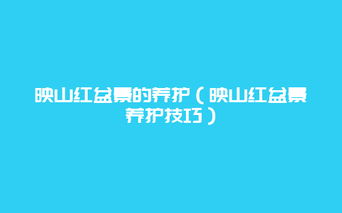 映山红盆景的养护（映山红盆景养护技巧）