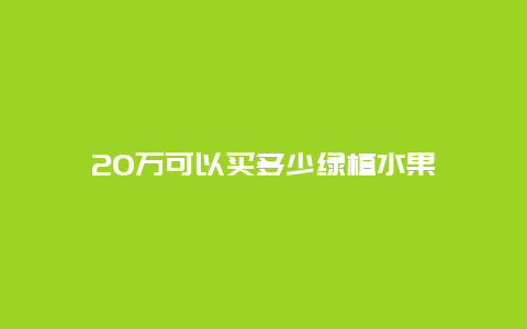 20万可以买多少绿植水果