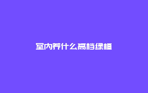 室内养什么高档绿植