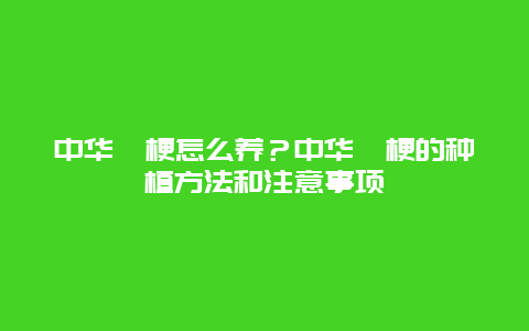 中华桔梗怎么养？中华桔梗的种植方法和注意事项