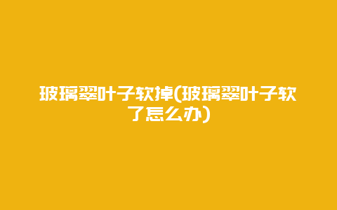 玻璃翠叶子软掉(玻璃翠叶子软了怎么办)